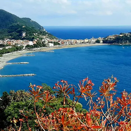 La Gerbera By Interhome Apartment Sestri Levante